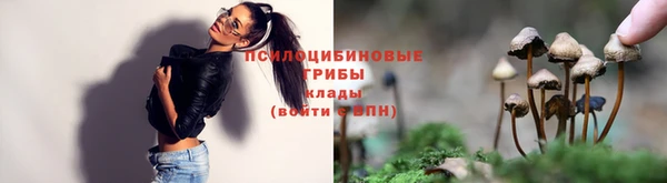 герыч Михайловск