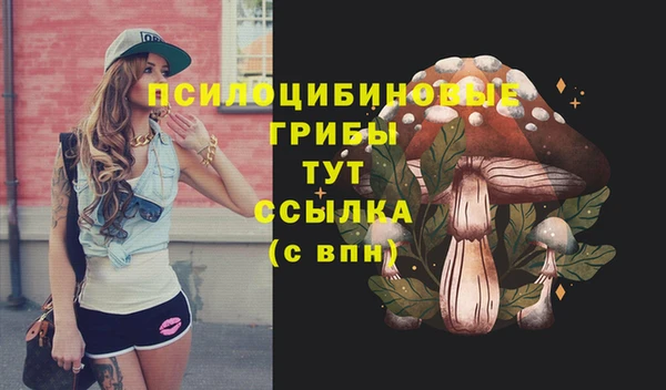 герыч Михайловск