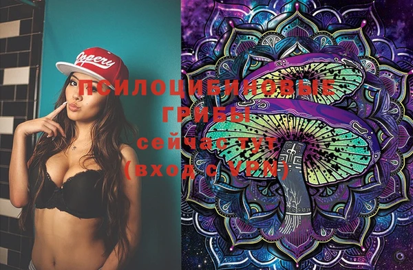 экстази Михайлов