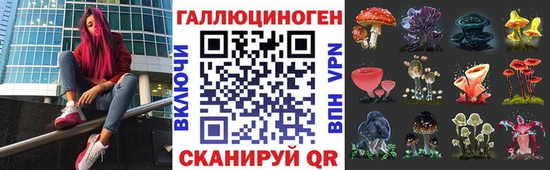 где можно купить наркотик Новосиль Галлюциногенные грибы Magic Shrooms