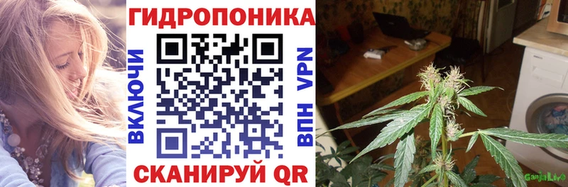 Конопля THC 21%  Новосиль 